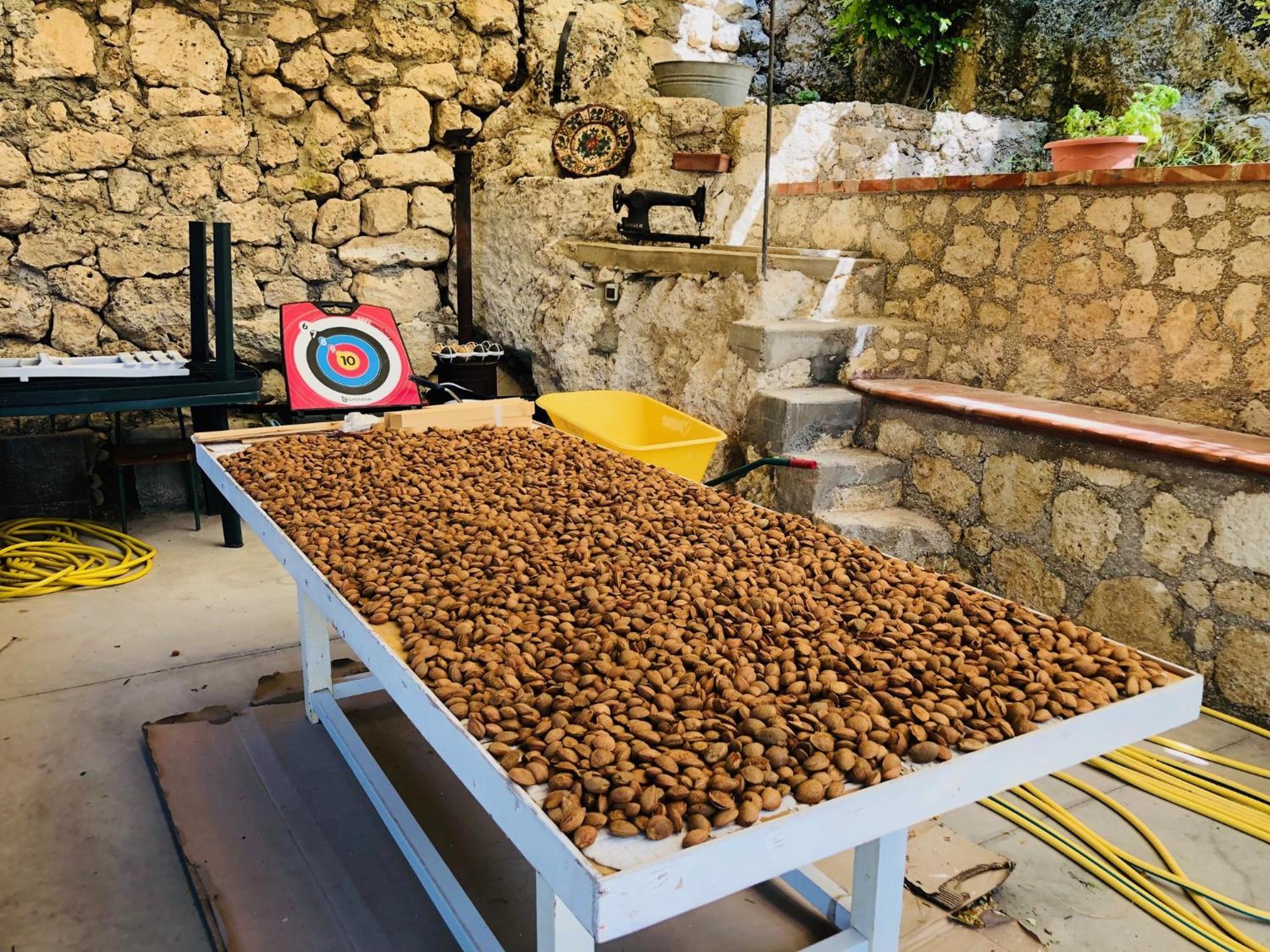 B&B Tenuta La Puntara カルタニッセッタ エクステリア 写真